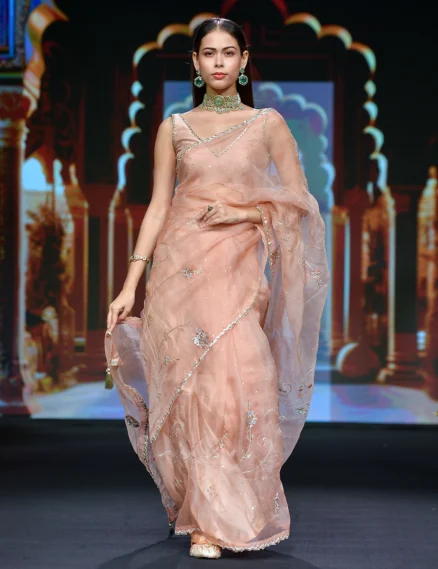 Silk Organza Saree