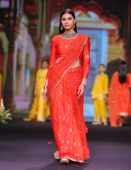 Silk Organza Saree