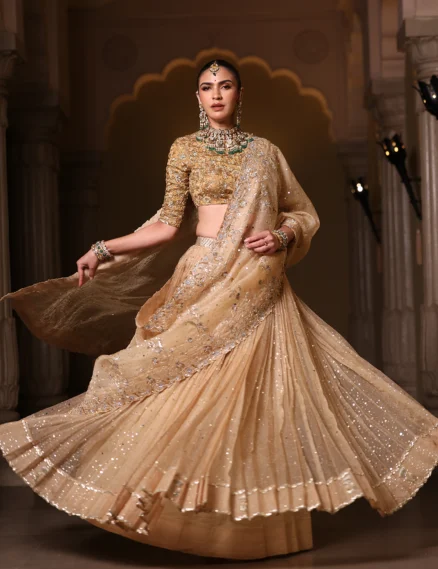 Gold Pleated Silk Organza Lehanga