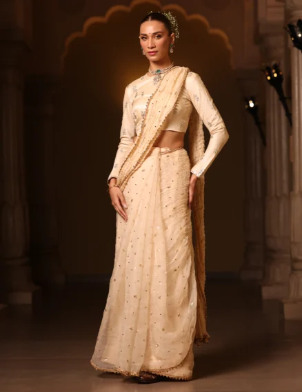 Silk Organza Saree