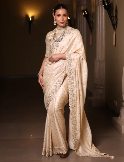 Tussar Handloom Silk Saree